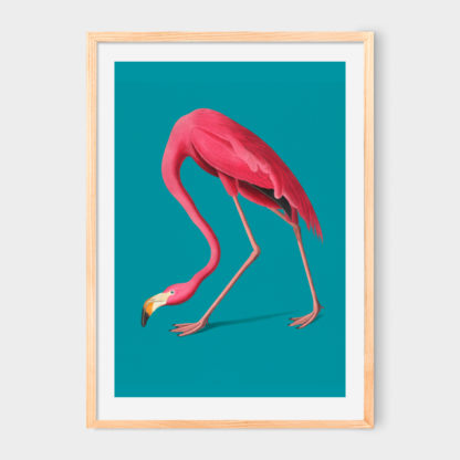 Poster Vintage Pink Flamingo