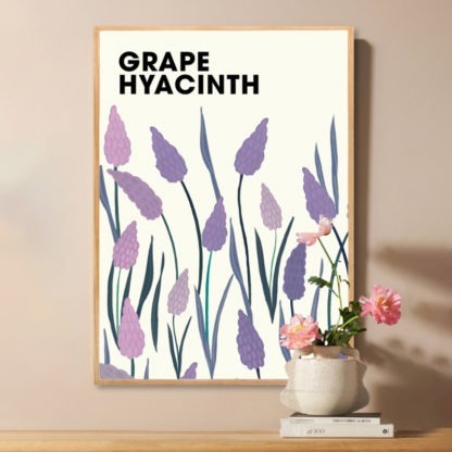 Poster Grape Hyacinth