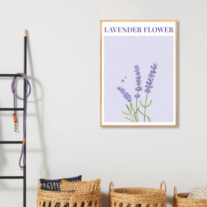 Poster Lavender Flower
