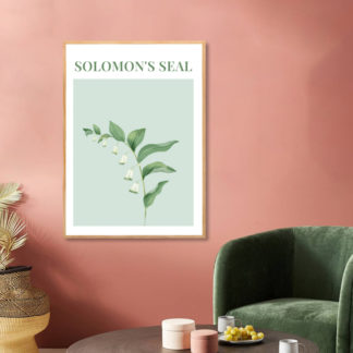 Poster Solomon's Seal