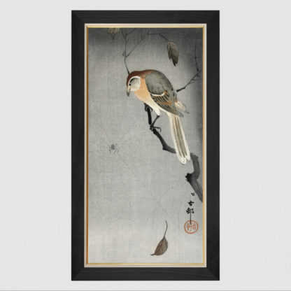 Buffalo wing shrike and spider (1900-1930) - Tranh in khung kính gỗ sồi Nhật cổ Danh họa Ohara Koson 50×100cm