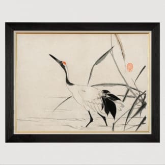 Japanese Crane - Tranh in khung kính gỗ sồi Nhật cổ Danh họa Mochizuki Gyokusen 60×80cm