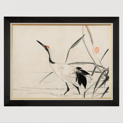 Japanese Crane - Tranh in khung kính gỗ sồi Nhật cổ Danh họa Mochizuki Gyokusen 60×80cm