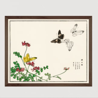 Butterflies and flower illustration from Churui Gafu (1910) - Tranh in khung kính gỗ sồi Nhật cổ Danh họa