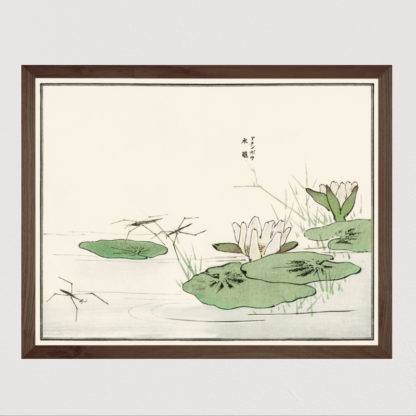Suzumushi bell cricket - Tranh in khung kính gỗ sồi Nhật cổ Danh họa Morimoto Toko