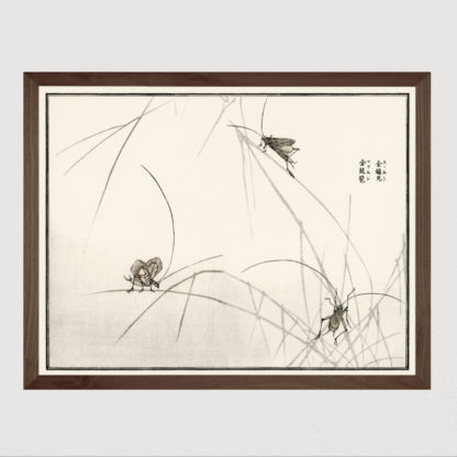 Suzumushi bell cricket Tranh in khung kính gỗ sồi Nhật cổ Danh họa Morimoto Toko 56×45cm