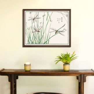 Dragonflies illustration from Churui Gafu - Tranh in khung kính gỗ sồi Nhật cổ Danh họa Mochizuki Gyokusen
