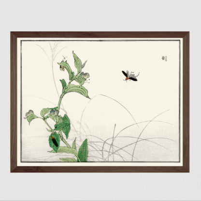 Fireflies - Tranh in khung kính gỗ sồi Nhật cổ Danh họa Morimoto Toko 56×45cm