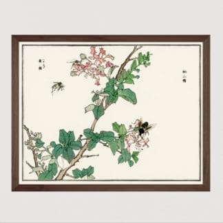 Horsefly - Tranh in khung kính gỗ sồi Nhật cổ Danh họa Morimoto Toko 56×45cm