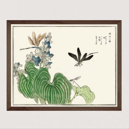 Dragonfly on a flower (1910)- Tranh in khung kính gỗ sồi Nhật cổ Danh họa Morimoto Toko 56×45cm