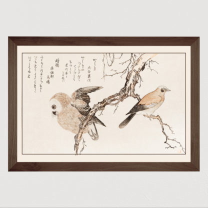 Kashidori Fukuro Tranh in khung kính gỗ sồi Nhật cổ Danh họa