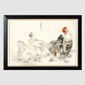 Domestic Fowl - Tranh in khung kính khung Hova