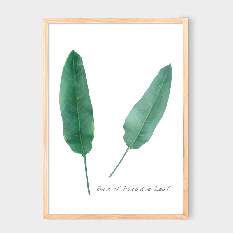 Poster Bird of paradise leaf