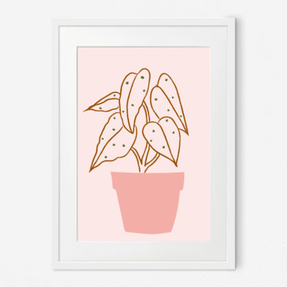 Poster Pink Plant