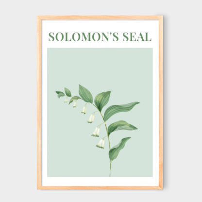 Poster Solomon's Seal