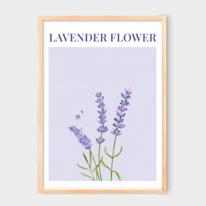 Poster Wisteria Flower