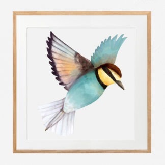 Hummingbird - Tranh vẽ con chim ruồi xanh ngọc