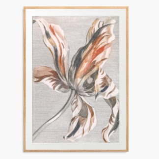 Tulip - Tranh khung kính gỗ sồi treo tường 50x70 cm