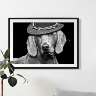 Chú chó đội nón cổ điển - Ảnh nghệ thuật khung kính