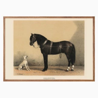 Poster Orloffer (Orloff Horse) (1880)