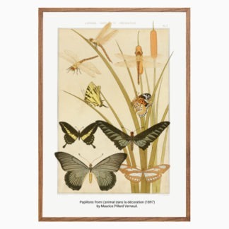 Poster Papillons from L'animal dans la décoration (1897)