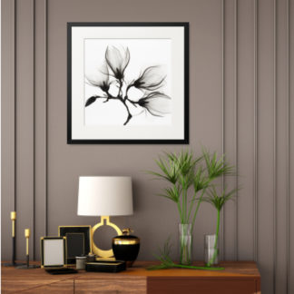 Vintage Magnolia Flower - Tranh khung kính treo tường B&W