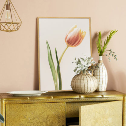 Tranh treo phòng khách hoa tulip hồng cam