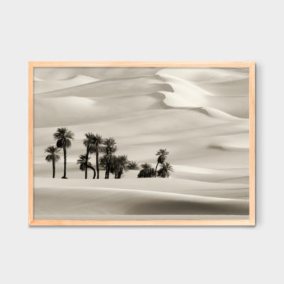 Tranh phong cảnh quê sa mạc màu Sepia