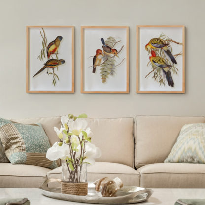 Bộ 3 tranh đôi chim khung gỗ sồi tự nhiên