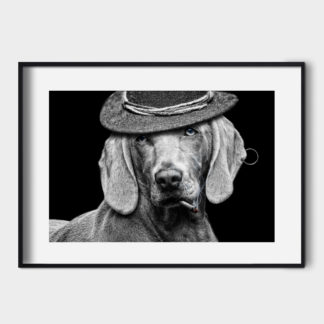Chú chó đội nón cổ điển 50x70 - Ảnh nghệ thuật khung kính