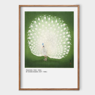 Poster tranh chim con trắng trên nền xanh