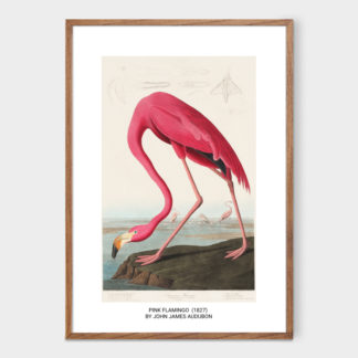 Poster tranh hồng hạc (1827)
