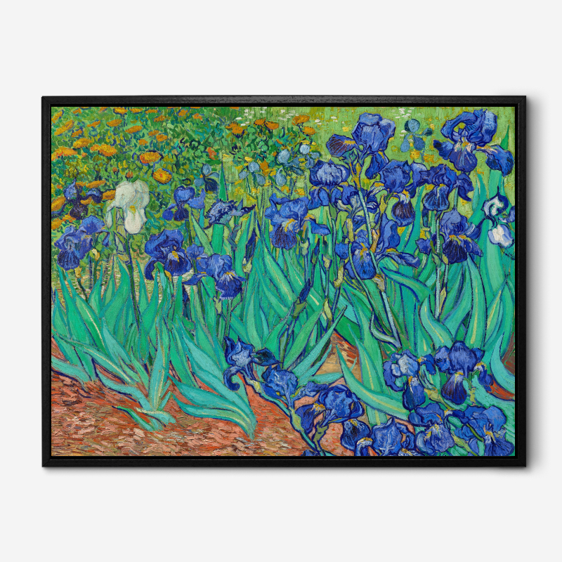Hoa Diên Vĩ - Tranh Canvas Vincent Van Gogh (1889)