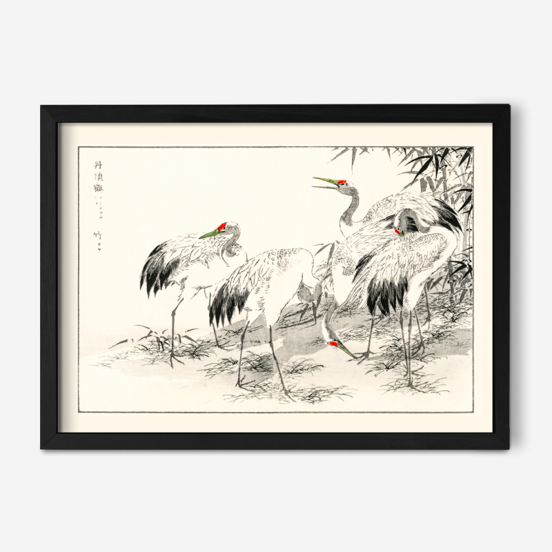 Japanese Crane and Bamboo illustration from Pictorial Monograph of Birds (1885) by Numata Kashu (1838-1901)id-434924-original 1