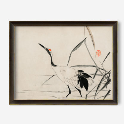 The ukiyo-e illustration of a Japanese crane by Mochizuki Gyokusen, drawn in the year 1891, a traditional portrait of an elegant Japanese crane 1