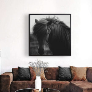 Black horse - Tranh ngựa  canvas treo tường