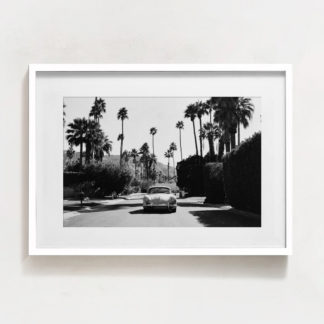 Driving between palm trees - Ảnh nghệ thuật hiện đại trắng đen