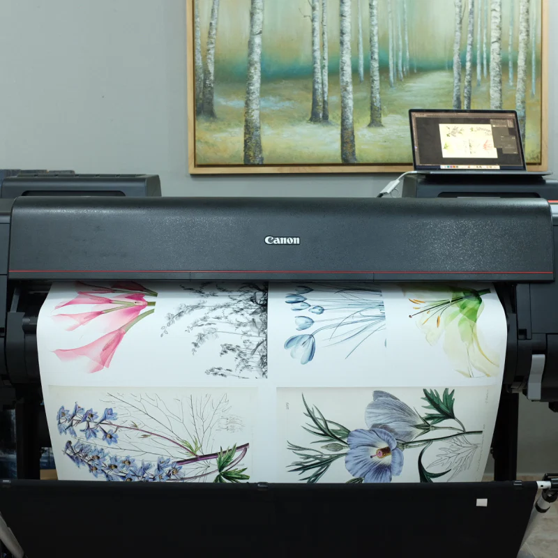 Fine Art printing và artwork reproduction tại Mia Home Studio
